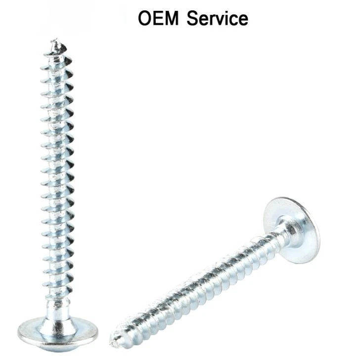 Zinc Plating Self Tapping Screw