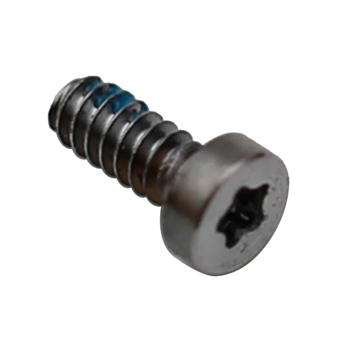 Small black flat head torx screw